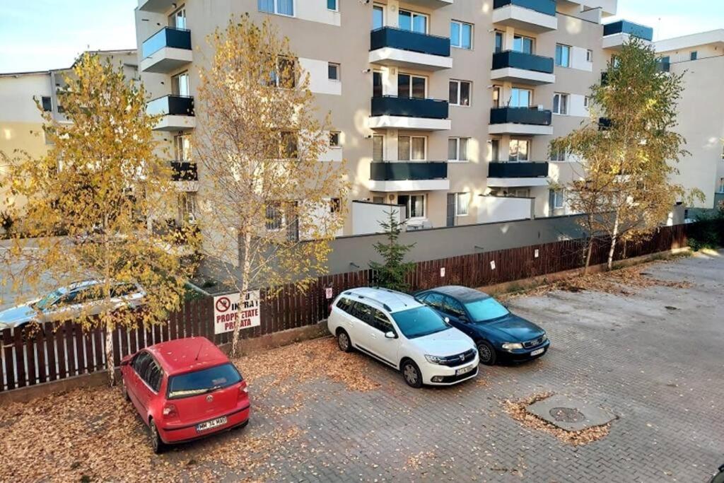 Spacious Flat, With Free Parking & Air Conditioning Floresti  Exterior photo